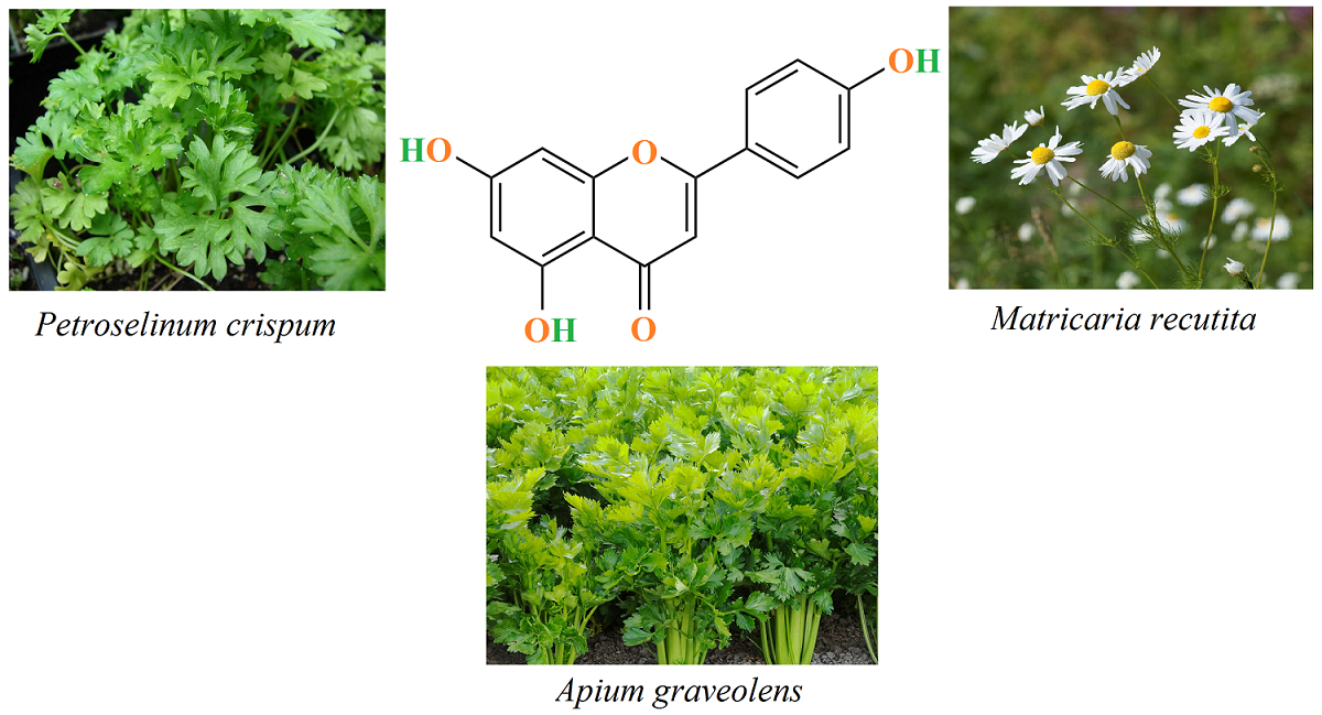 Therapeutic applications of apigenin and its derivatives: micro and nano aspects 